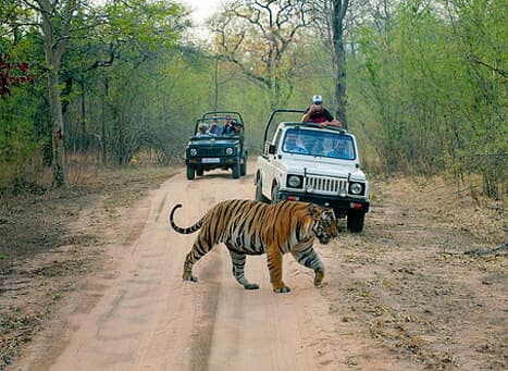 Dhela Zone